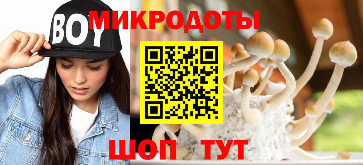 Гусь-Хрустальный  Галлюциногенные грибы GOLDEN TEACHER  наркота  Вход с VPN 