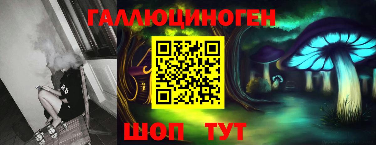 Галлюциногенные грибы Psilocybe Гусь-Хрустальный